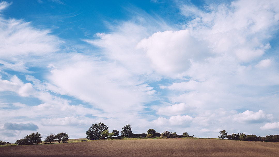 Rundumweg Feld