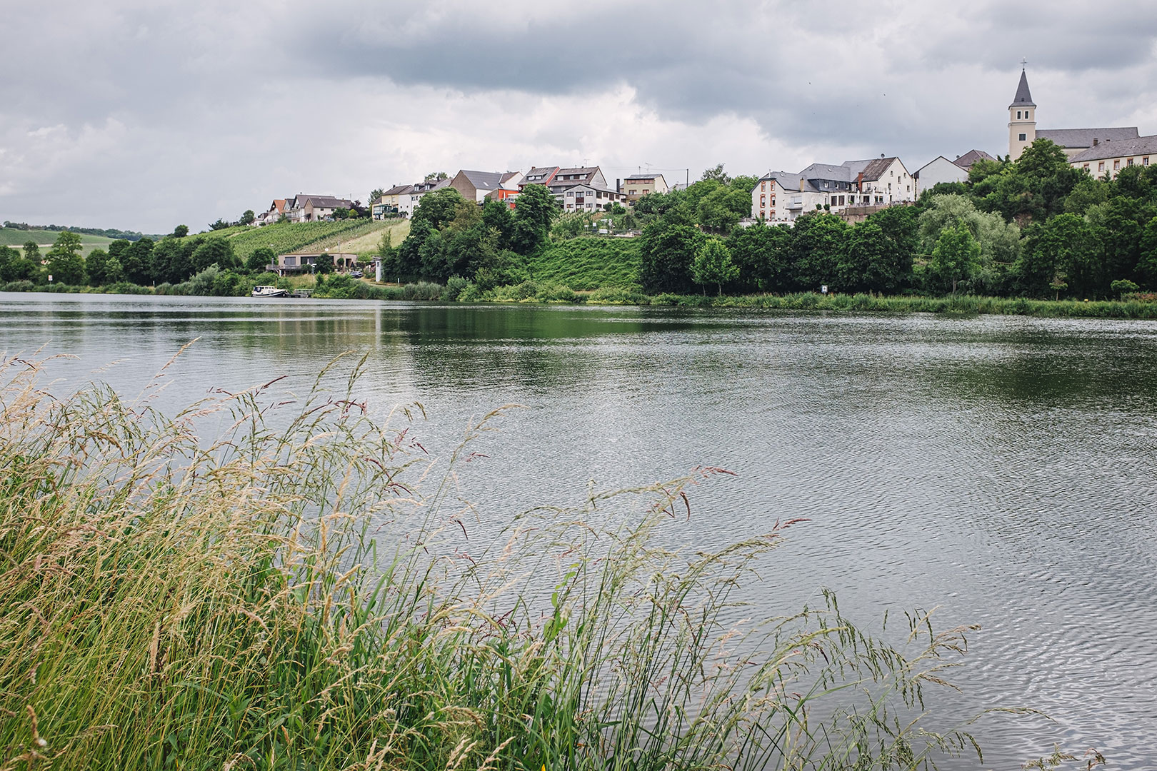 Die Mosel an der Weinstraße