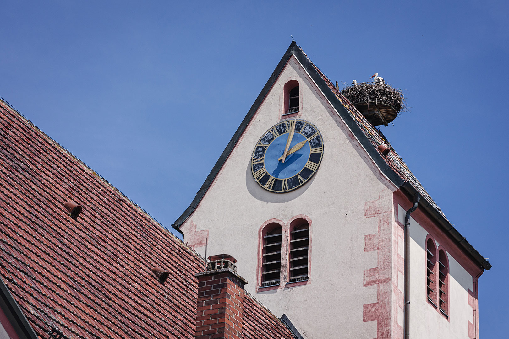 Störche auf dem Kirchturm