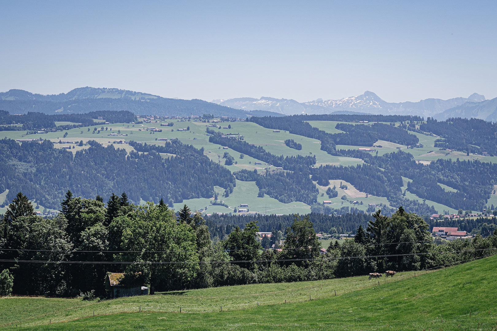 Bergblick im Allgäu