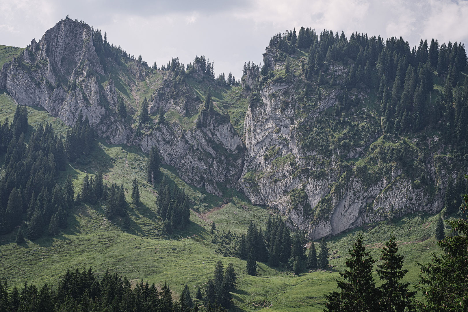 Ausblick auf die Alpen