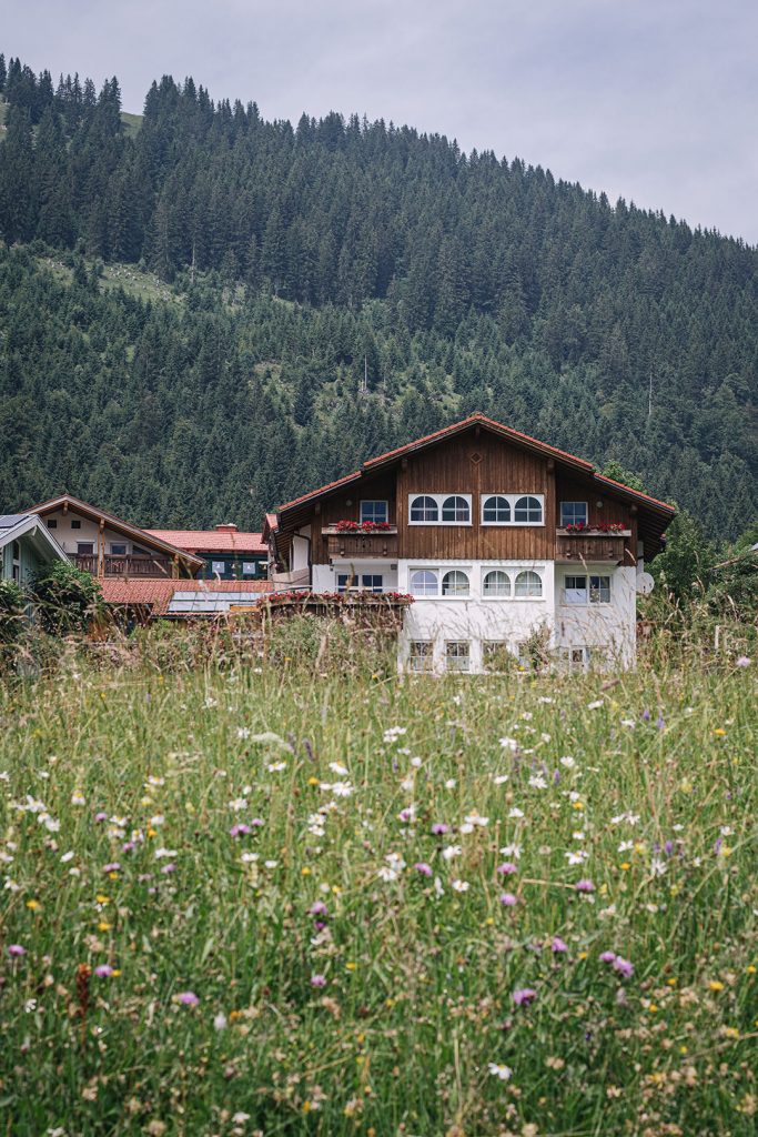 Wiese und Haus in Oberjoch