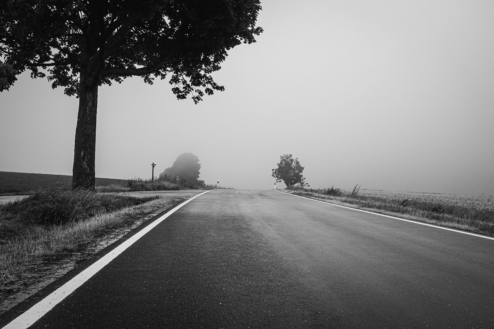 Nebel auf der Straße