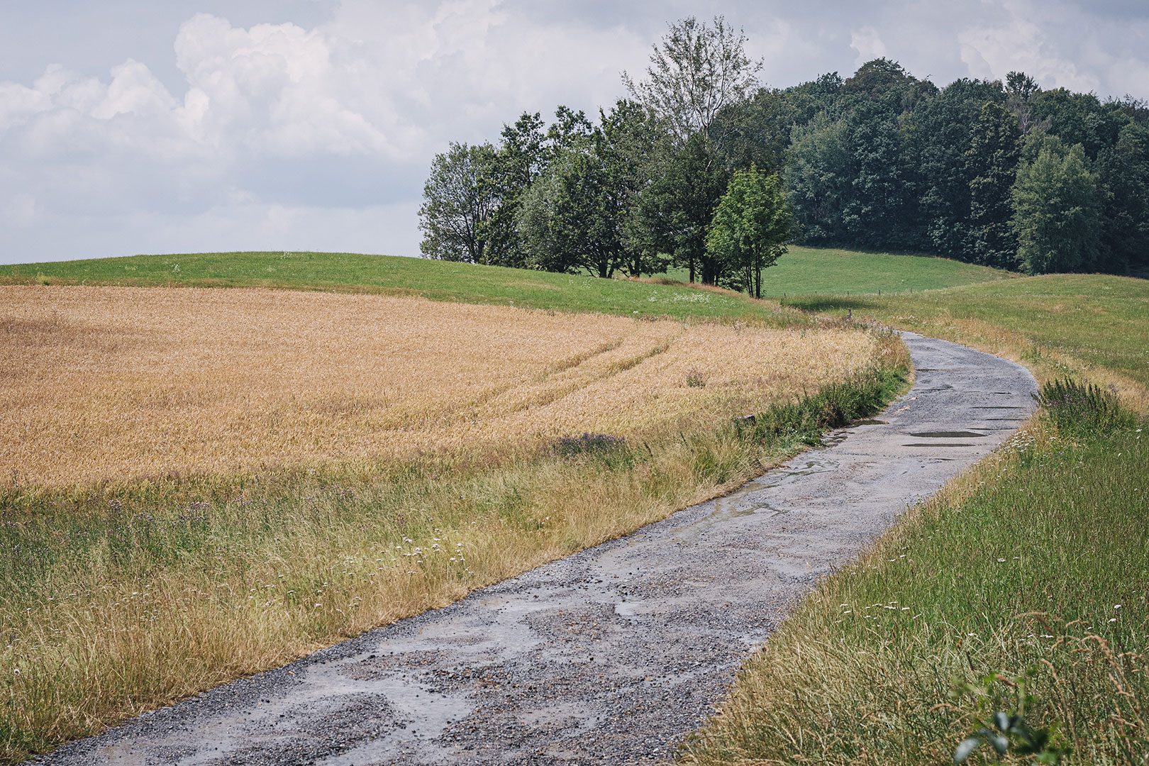 Weg und Feld in Hertigswalde (Drehort Inglourious Basterds)