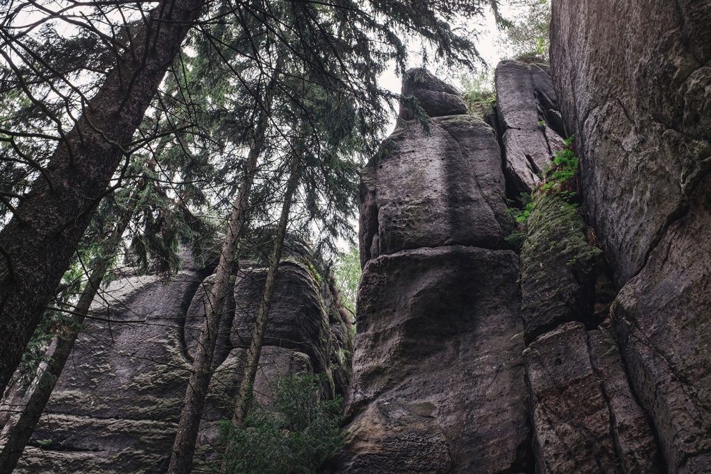 Felswand in Jonsdorf