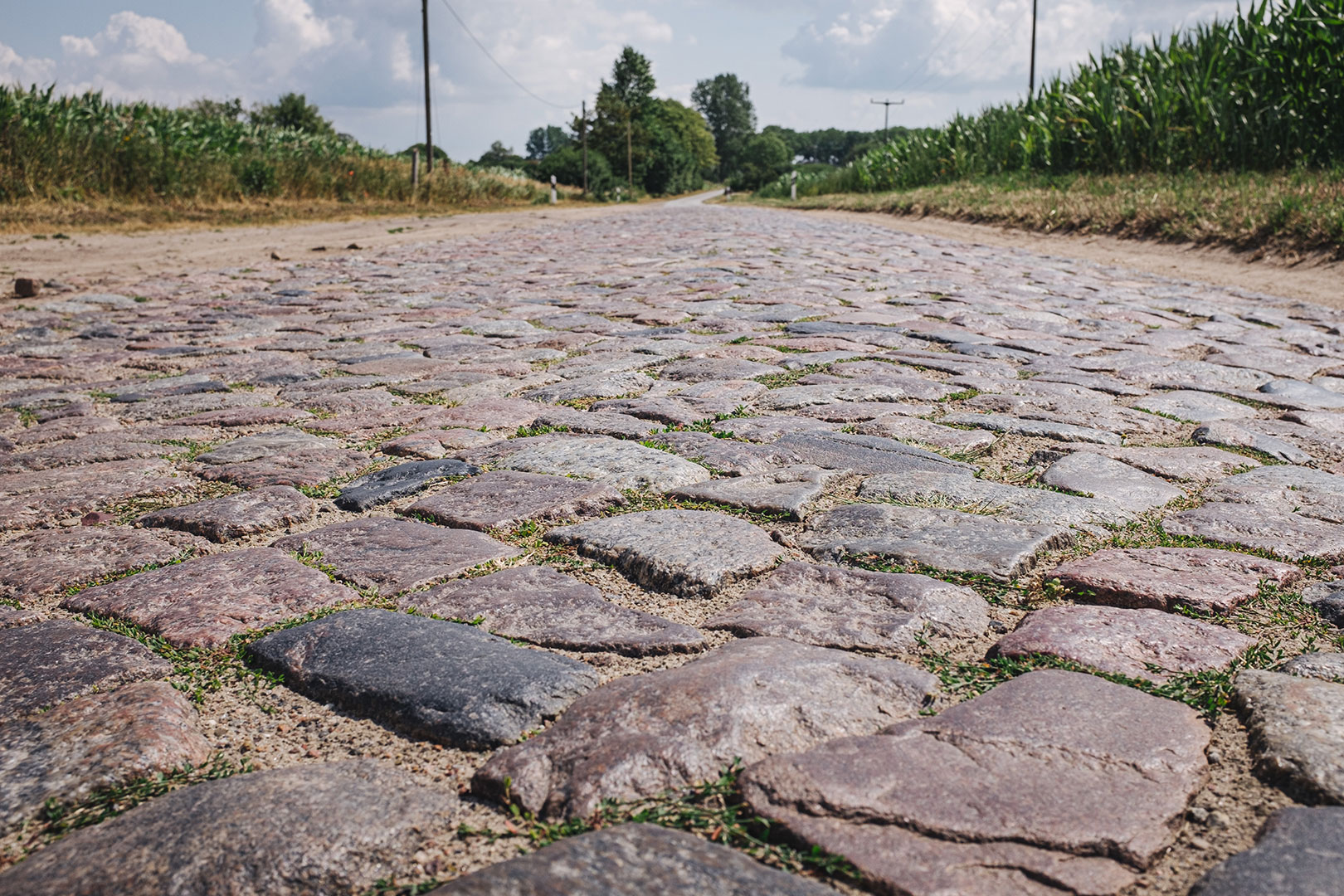 Kopfsteinpflaster-Straße im Stettiner Haff / Vorpommern-Greifswald