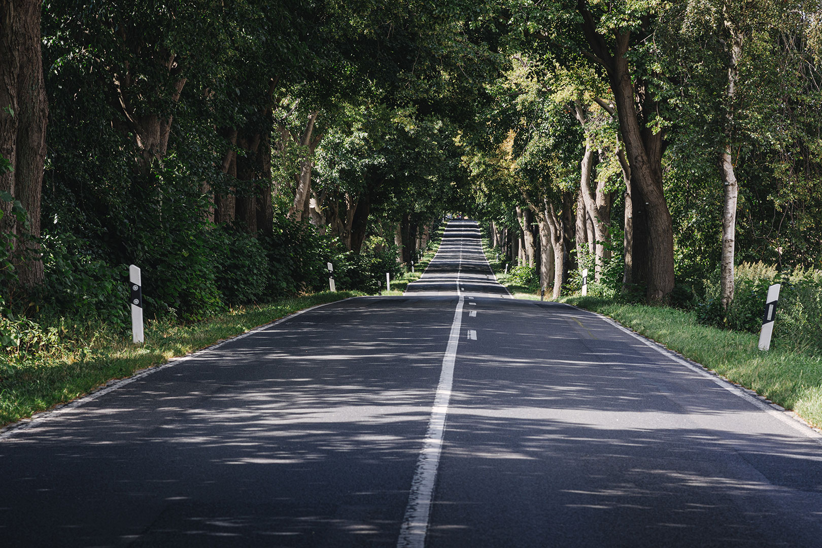 Deutsche Alleenstraße auf Rügen