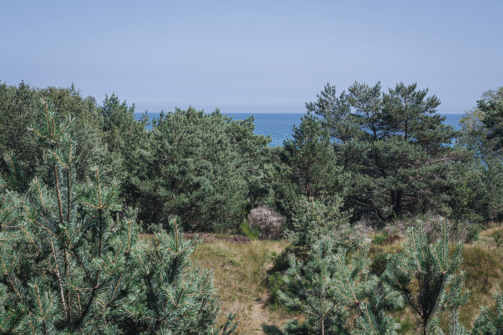 Ausblick aufs Meer aus der Ruine Prora