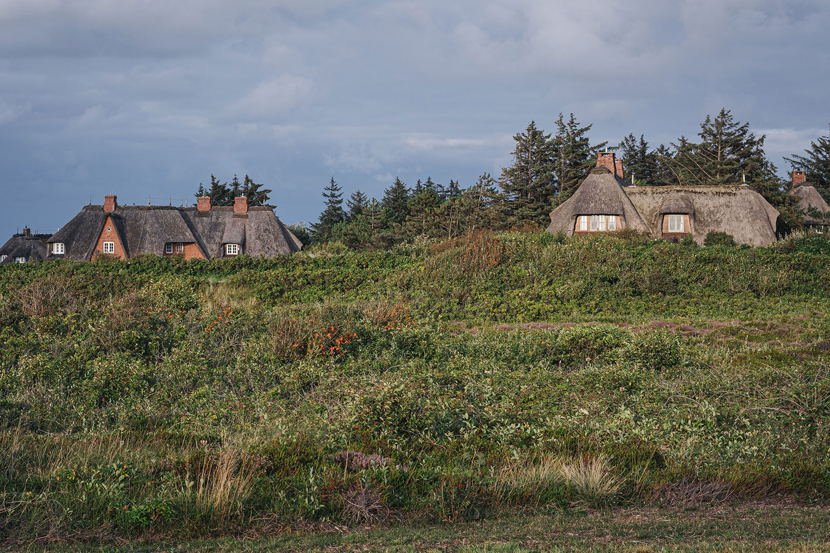 Reetdachhäuser auf Sylt