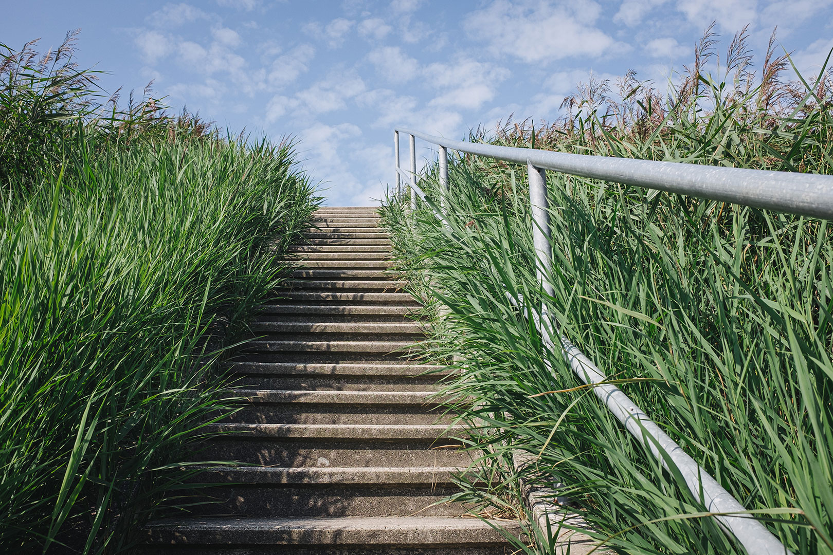 Treppe zum Deich in Südwesthörn